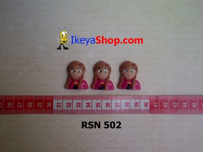 rsn 502  large2